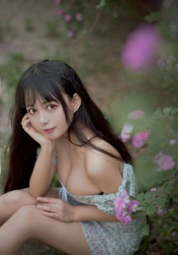 丛林奇航免费观看完整版在线播放_BD国语在线视频播放