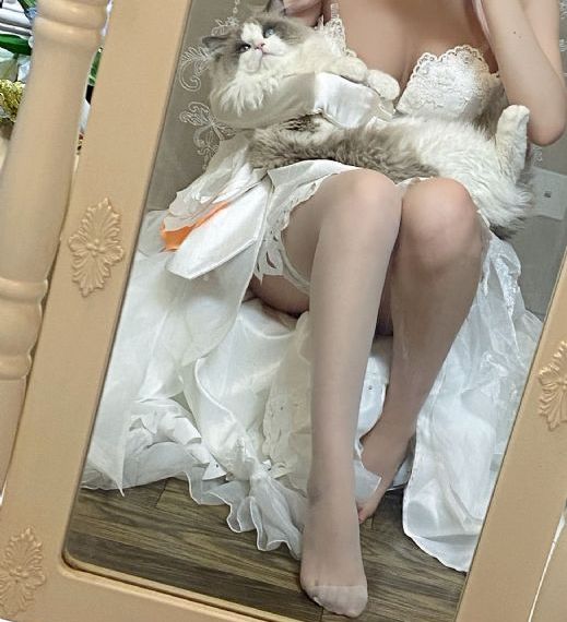 完美女人在线观看_BD在线观看视频