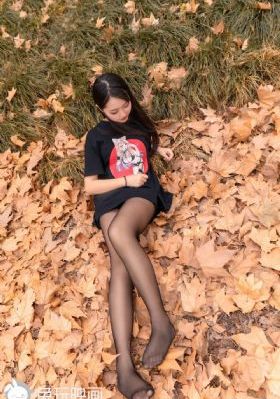 狼之歌_BD英语免费观看超清