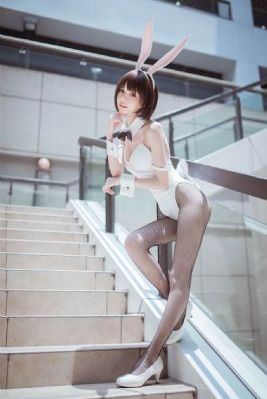火凤凰之特种兵_全集神马影院
